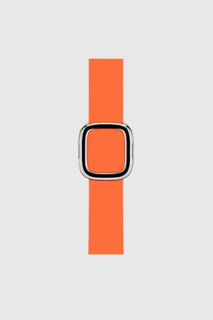 Alternative view of Sunset Modern Buckle for Apple Watch